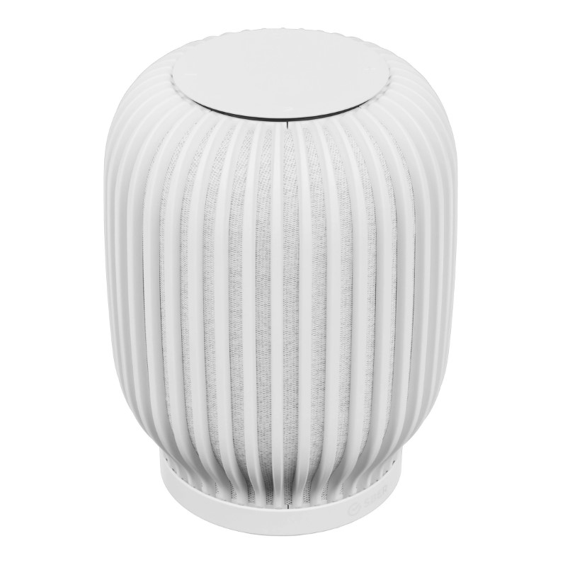 SberBoom_White_001
