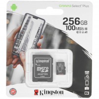 Kingston_256_Preview