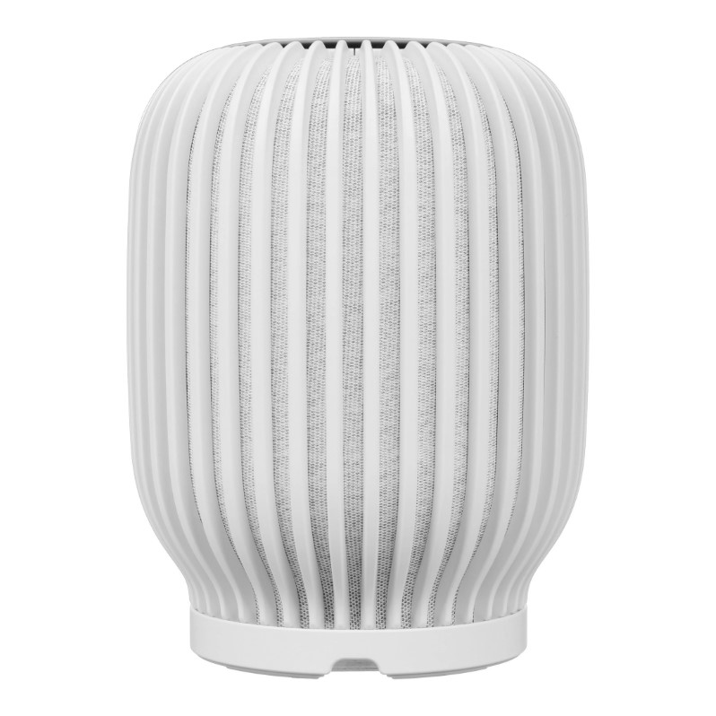 SberBoom_White_003