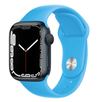 Ремешок ApW Sport Band для Apple Watch голубой 1